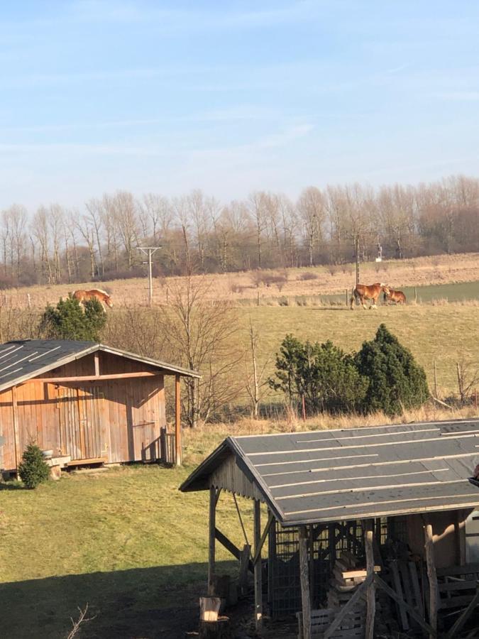 U Maksa W Slonecznych Apartamentach * Ustronie Morskie